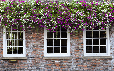 Heritage Windows