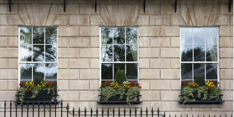 Georgian Windows