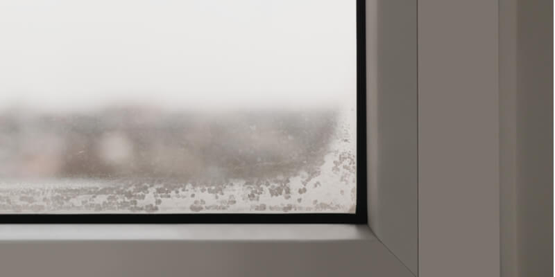 misty window